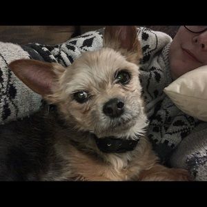 Meet your Posher, Shannon